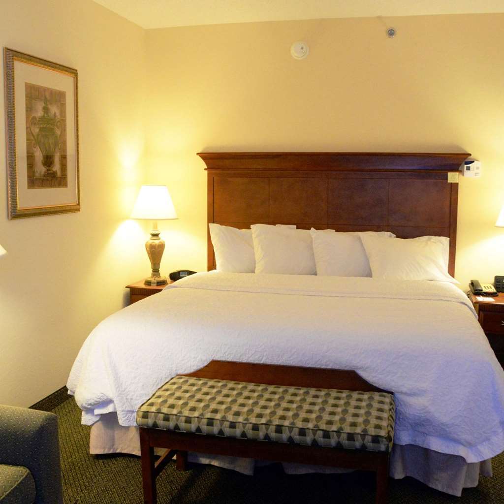 Hampton Inn & Suites Birmingham-Hoover-Galleria Rom bilde